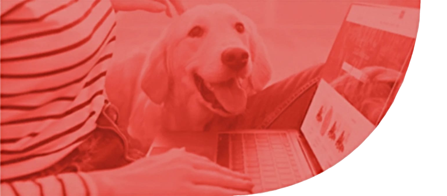 Plan Básico